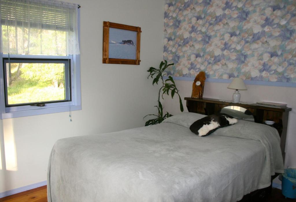 Dunphy'S Bed And Breakfast Parson Quarto foto